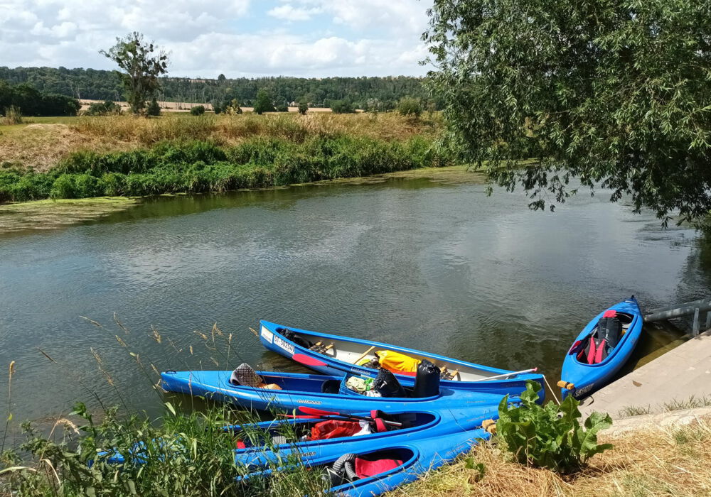 Fünf blaue Kajaks liegen am Flußufer im Wasser.