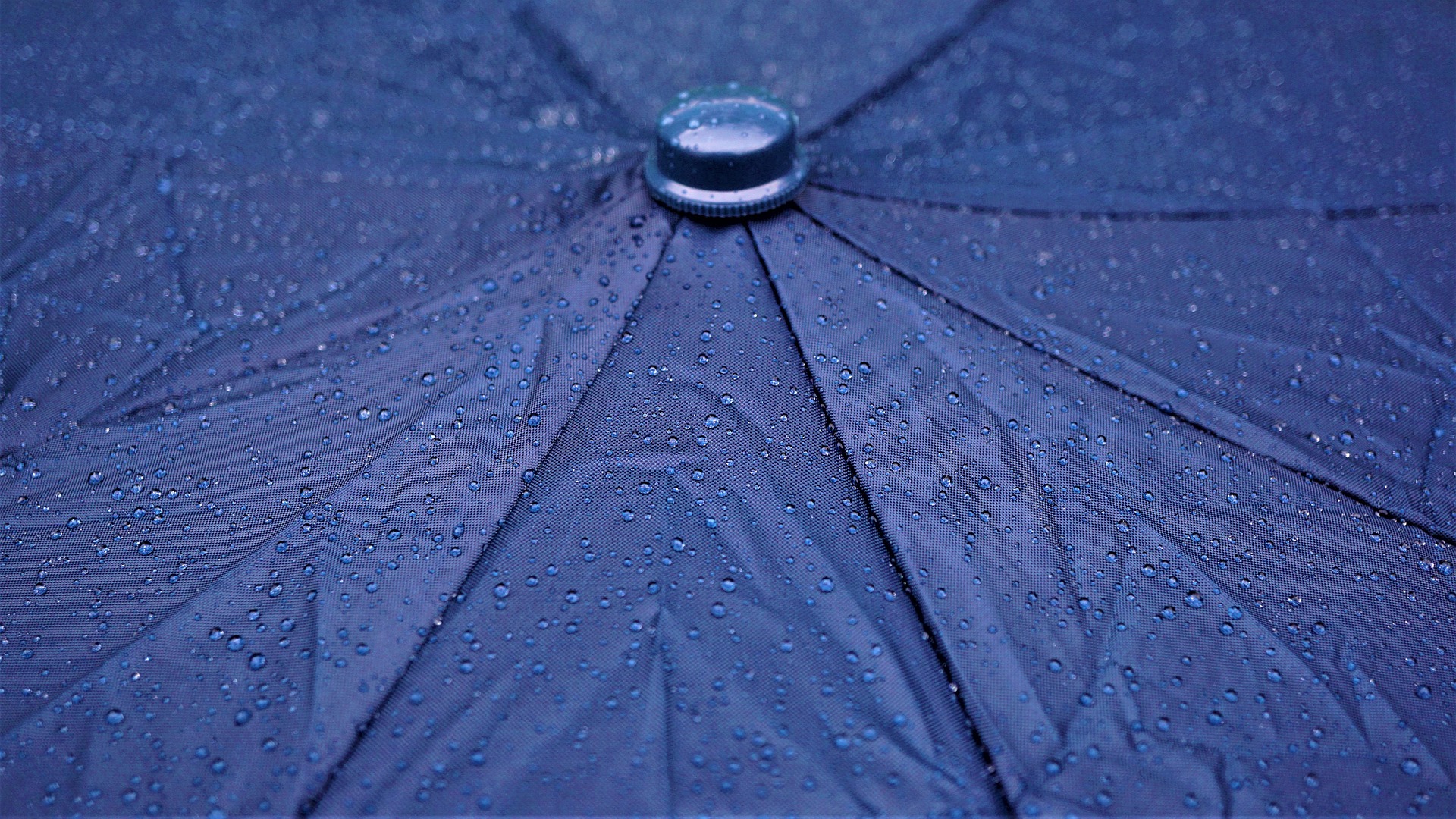 Nahaufnahme einer Regenschirmoberfläche mit Wassertropfen